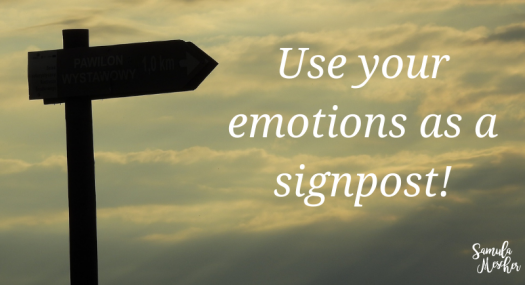 emotions as a signpost
